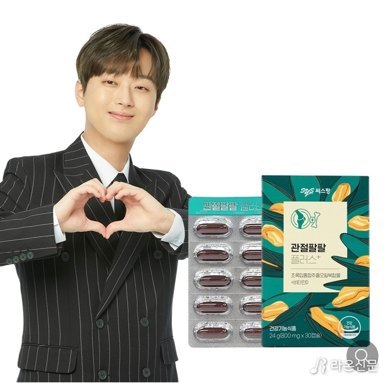 (사진=씨스팡 홈페이지)