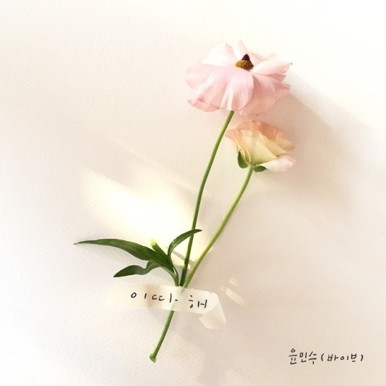 (사진=메이저나인 제공)