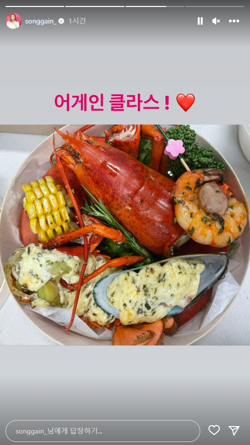 (사진=송가인 인스타그램)