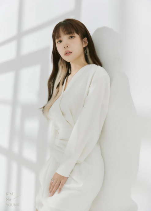 (사진=김나영 나무위키 프로필)