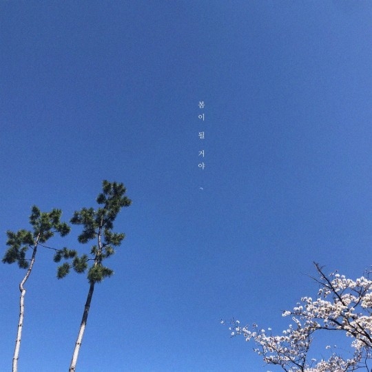 (사진=권진원 제공)