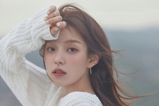 (사진=도로시컴퍼니 제공)