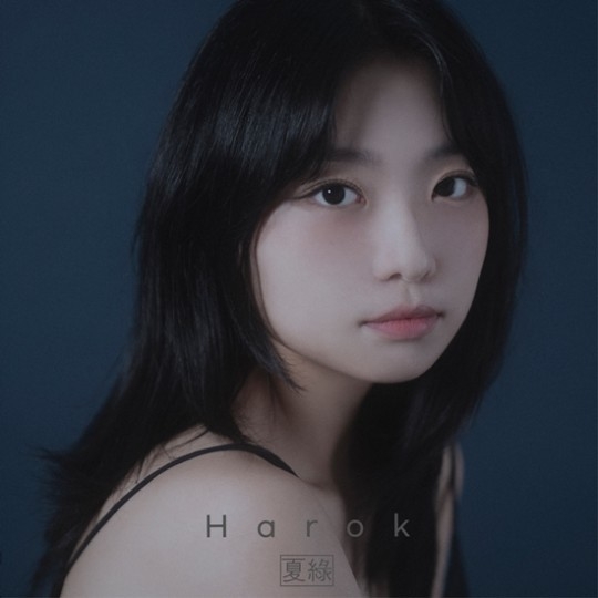 하록. (사진=핫도그 제공)