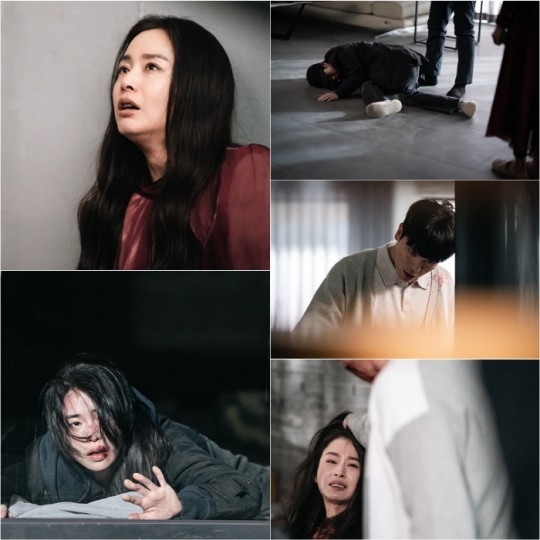 (사진='마당이 있는 집' 제공)