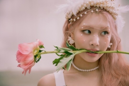 (사진=수안)