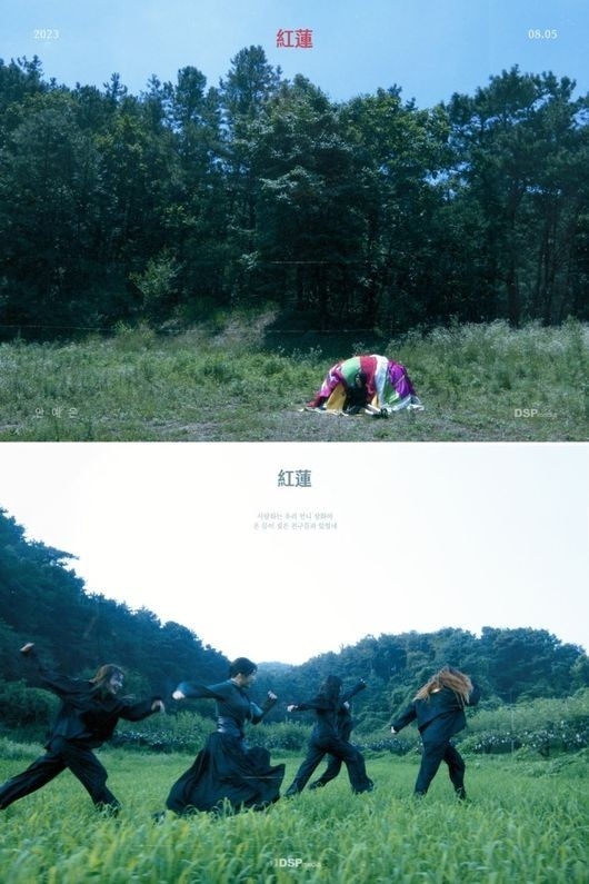 (사진=알비더블유(RBW), DSP미디어 제공)