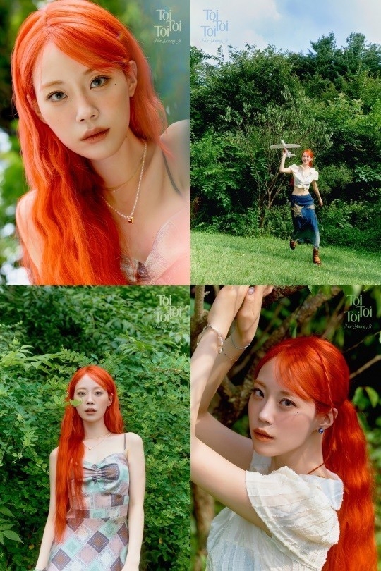 (사진=알비더블유(RBW), DSP미디어 제공)