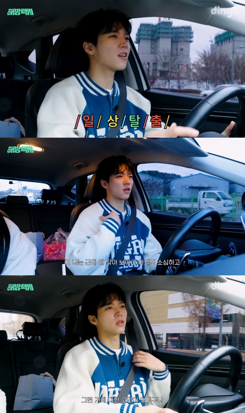 (사진=딩고 제공)