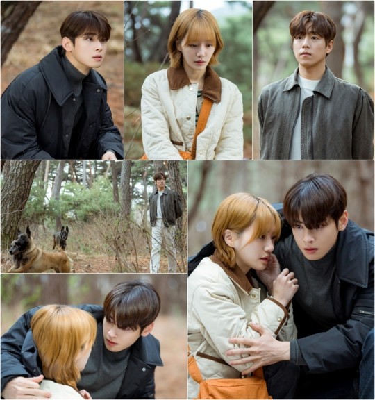 (사진=MBC ‘오늘도 사랑스럽개’ 제공)