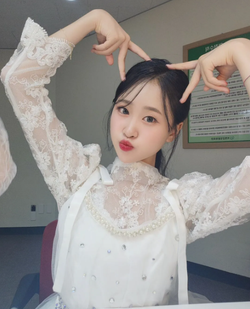(사진=김다현 나무위키 프로필)