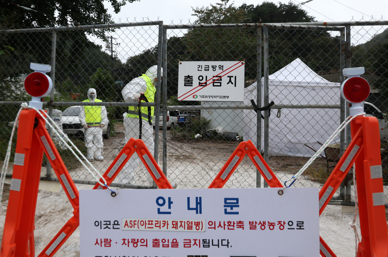 <strong>ASF 방역/연합뉴스</strong>