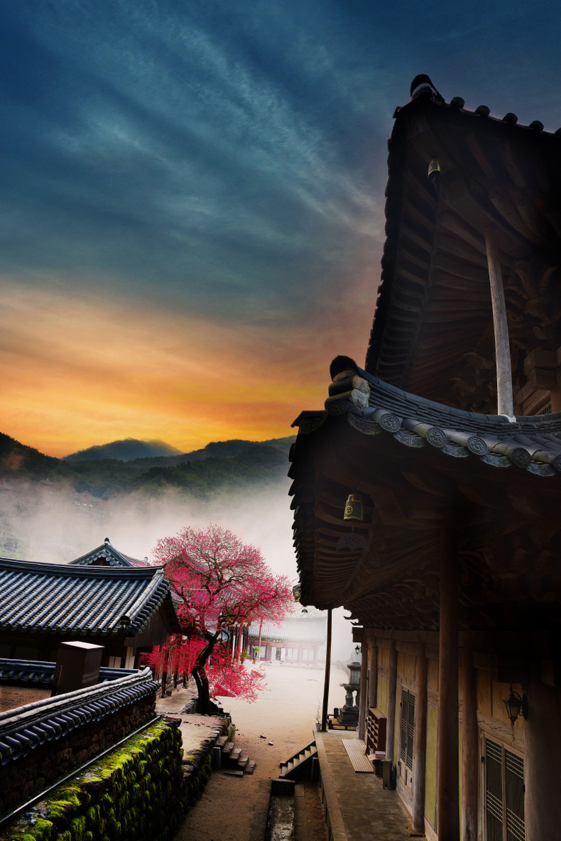<strong>'화엄매의 자태'/자료=화엄사</strong>