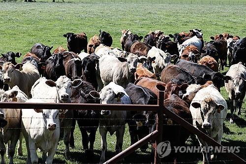 사진=연합뉴스