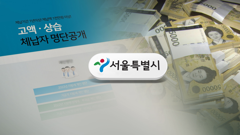 서울시, 3천만원 이상 고액체납자 143명 출국금지/연합뉴스