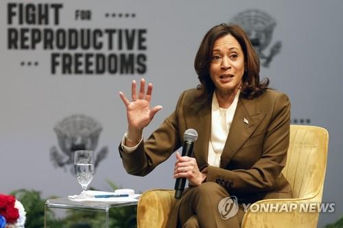 <strong>카멀라 해리스 미국 부통령</strong>