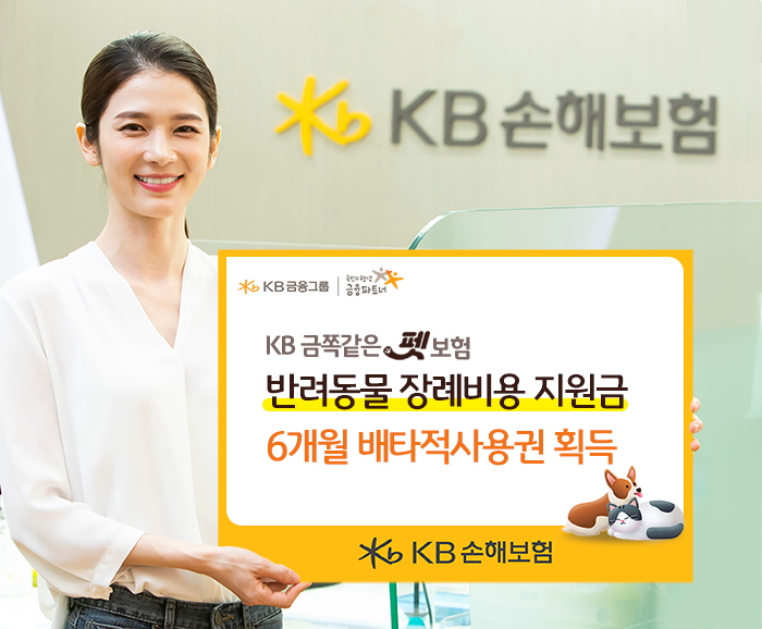 사진=KB손해보험