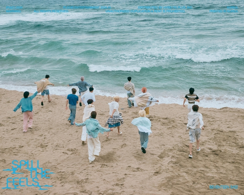 그룹 세븐틴,日 레코드협회 ‘플래티넘’ 스트리밍 인증 획득/사진=플레디스 엔터테인먼트