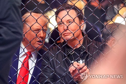 지난 16일 종합격투기 관람하는 트럼프 미국 대통령 당선인과 머스크 테슬라 최고경영자