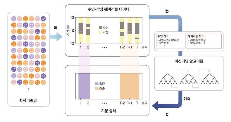 수면-각성 데이터를 이용한 기분 삽화 예측(사진=연합뉴스)