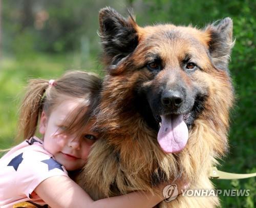 반려견과 어린이의 모습(기사와 연관 없는 사진)