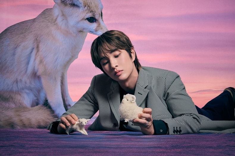 온유 미니 4집 'CONNECTION' 발표/사진=그리핀 엔터테인먼트