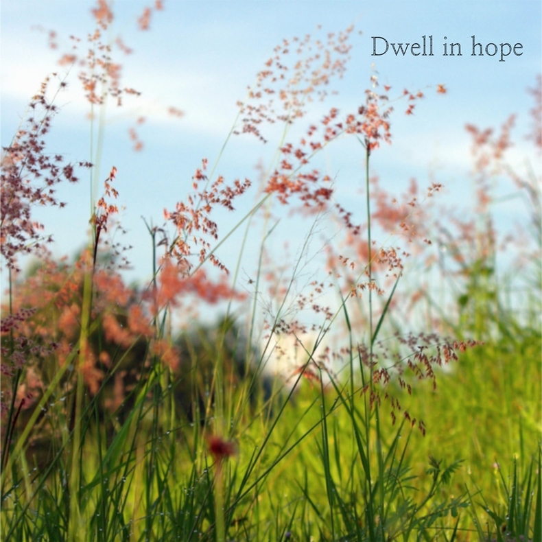 딜라이티, 3일 정규 앨범 ‘Dwell in hope’ 발매/사진=JMG(로칼하이레코즈)