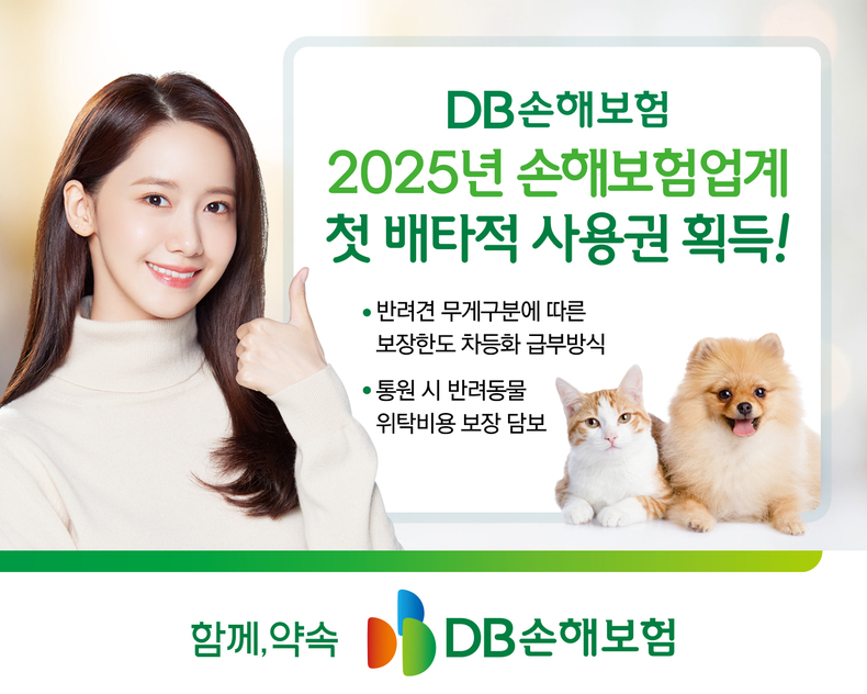 사진=DB손해보험 