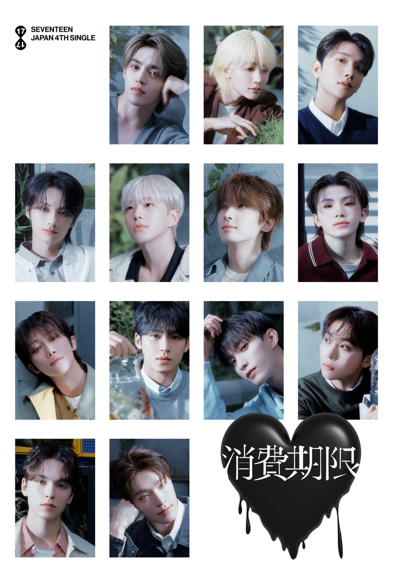 세븐틴/사진=플레디스 엔터테인먼트