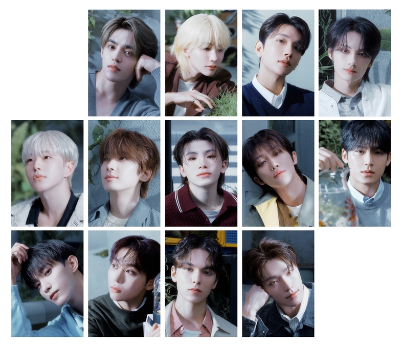 세븐틴/사진=플레디스 엔터테인먼트