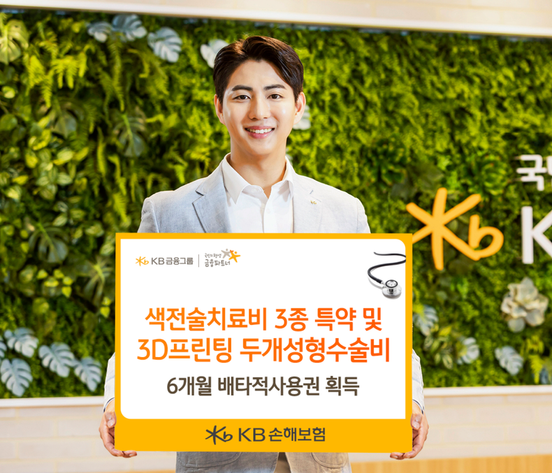 사진=KB손해보험 