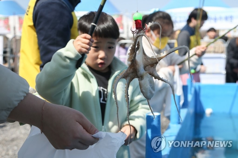 주꾸미 낚시 체험