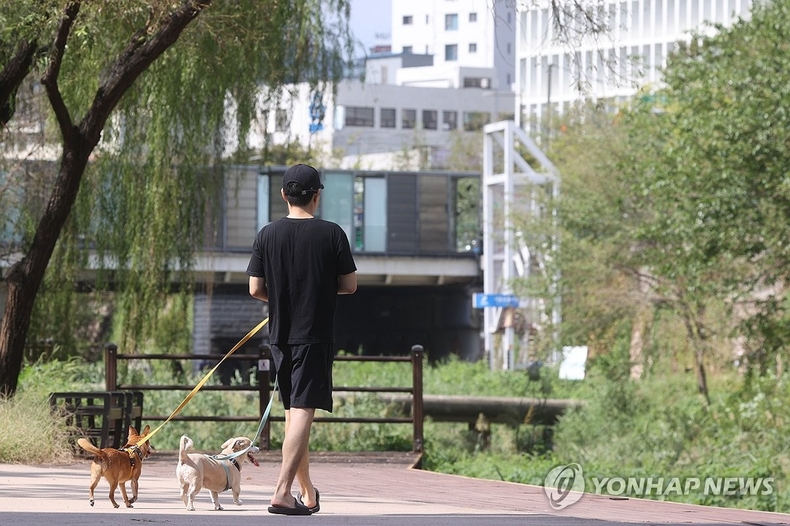 댕댕이와 함께 청계천 걸어요…연말까지 일부 구간 출입 허용