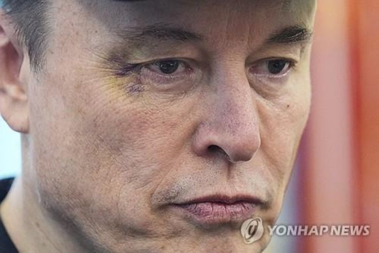 일론 머스크 테슬라 최고경영자