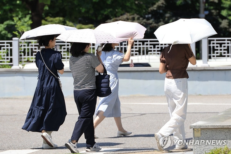 양산은 여름 필수품