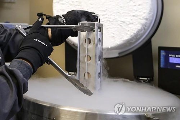 미국 플로리다의 한 인공수정 병원에서 냉동 배아를 다루고 있는 모습.