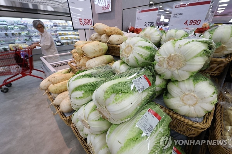 배추 가격 