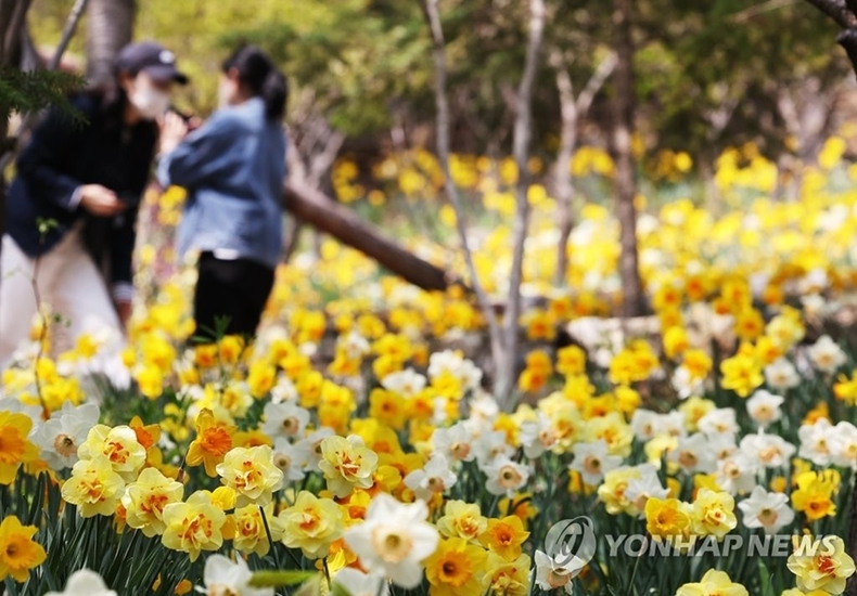 화담숲 
