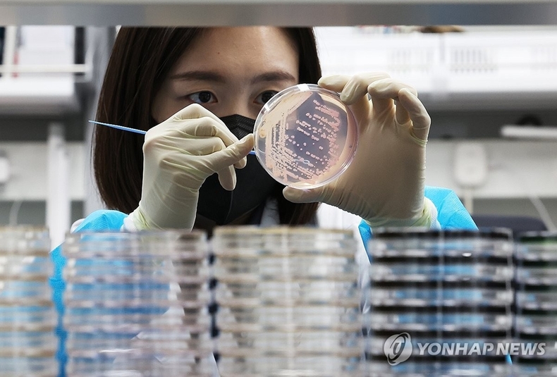 식중독균 배양분리작업