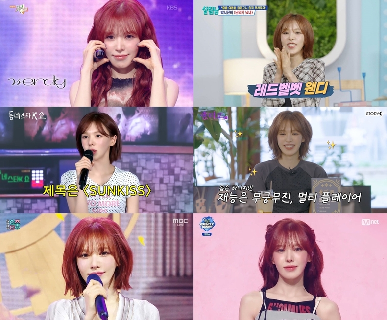 웬디 방송 출연 모습/사진=각 방송사 화면 캡처