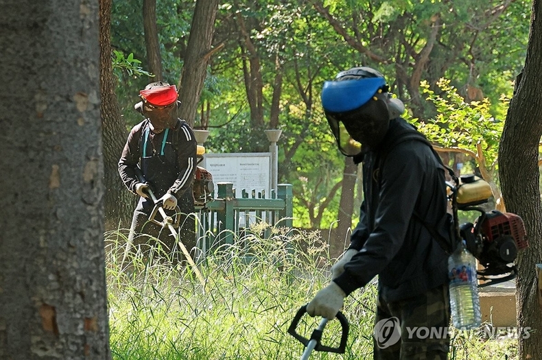 벌초 작업