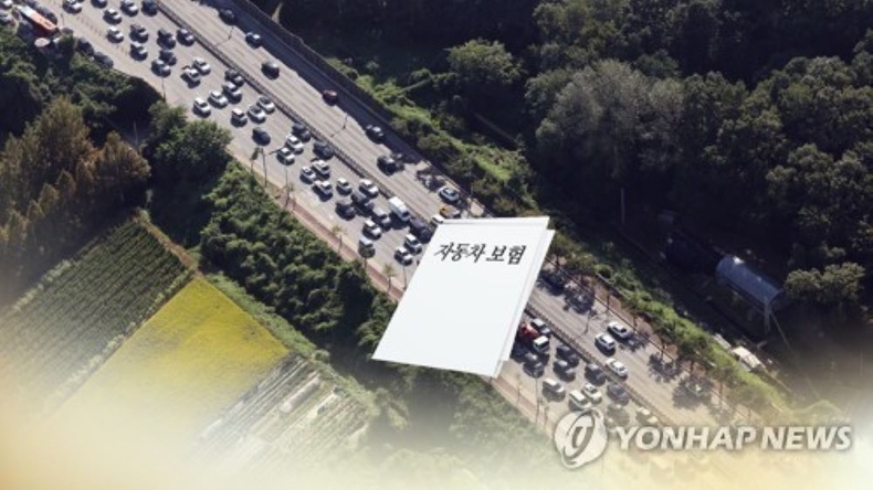 금감원, 자동차 보험사기 사례 공개