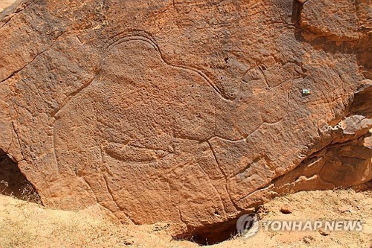 사우디 사막서 발견된 암각화