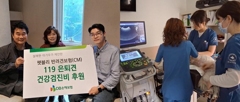사진=DB손해보험 
