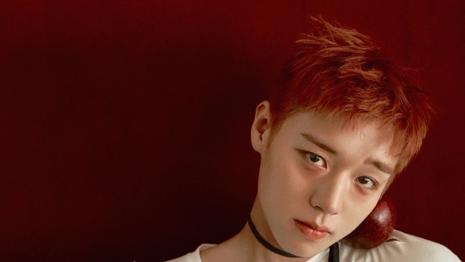 '단종 오빠' 박지훈부터 크래비티까지…29일 가요계 컴백 러시