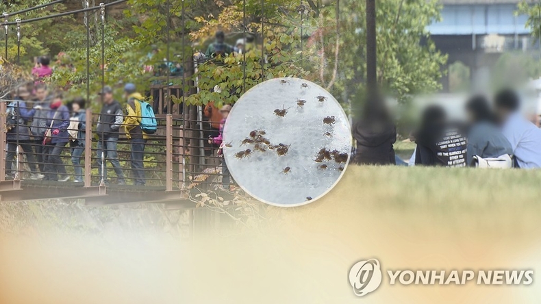 가을철 쯔쯔가무시병 주의…긴옷·곤충기피제 챙겨야